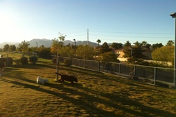 dog park in las vegas